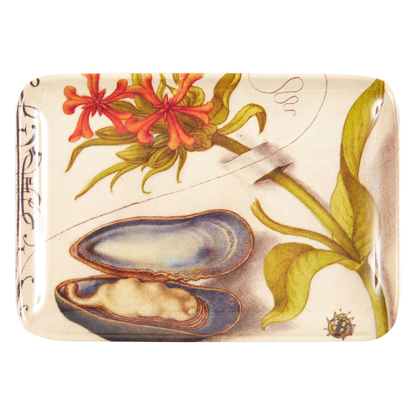 Botaniste Valet or Hors D'Oeuvre Trays