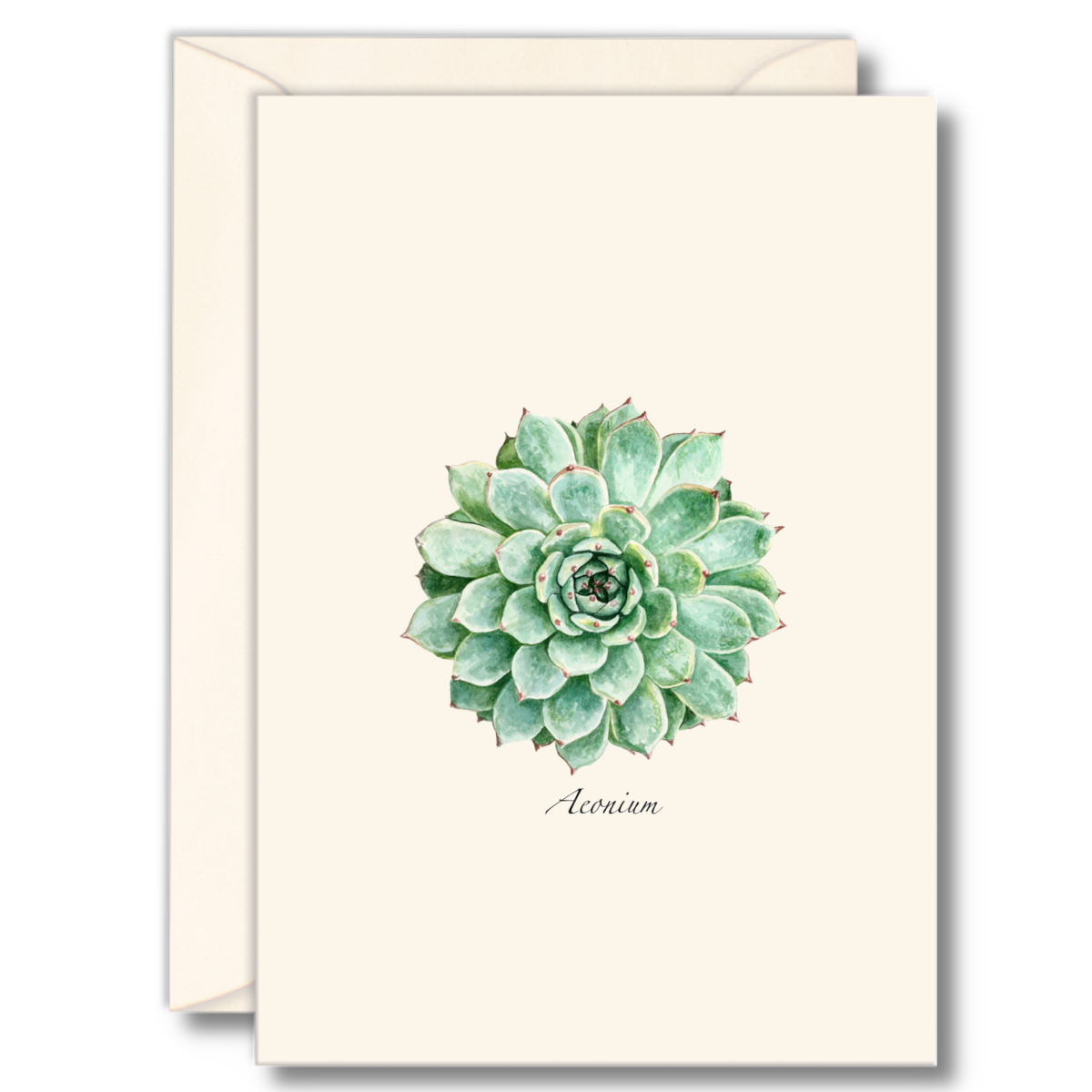 Floral & Botanical Boxed Note Cards - Select Style