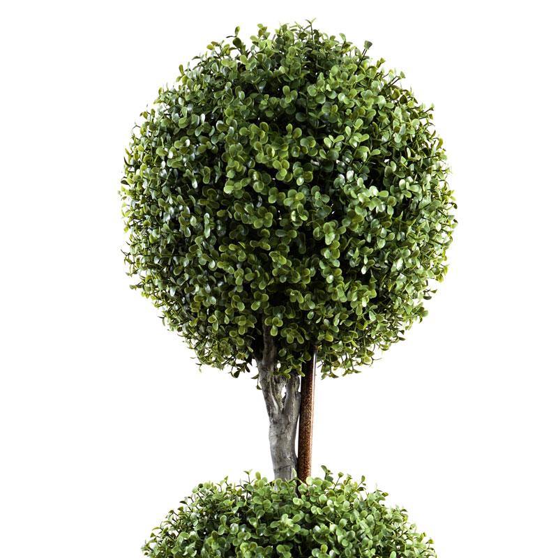 Boxwood Double Ball Topiary