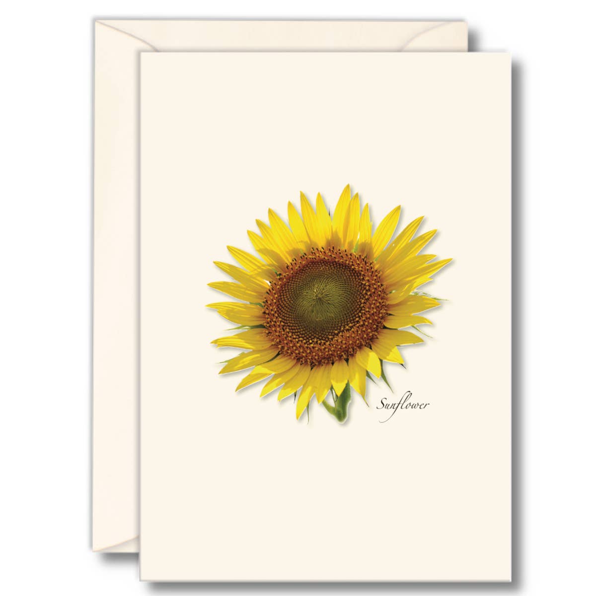 Floral & Botanical Boxed Note Cards - Select Style
