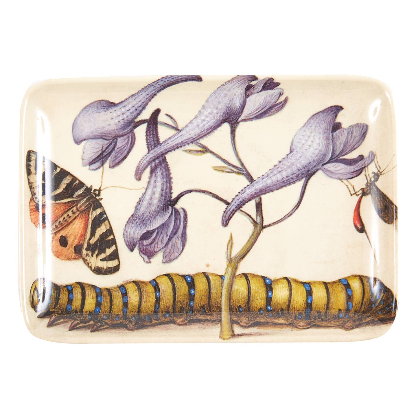 Botaniste Valet or Hors D'Oeuvre Trays