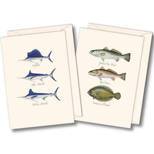 Sea & River Boxed Note Cards - Select Style