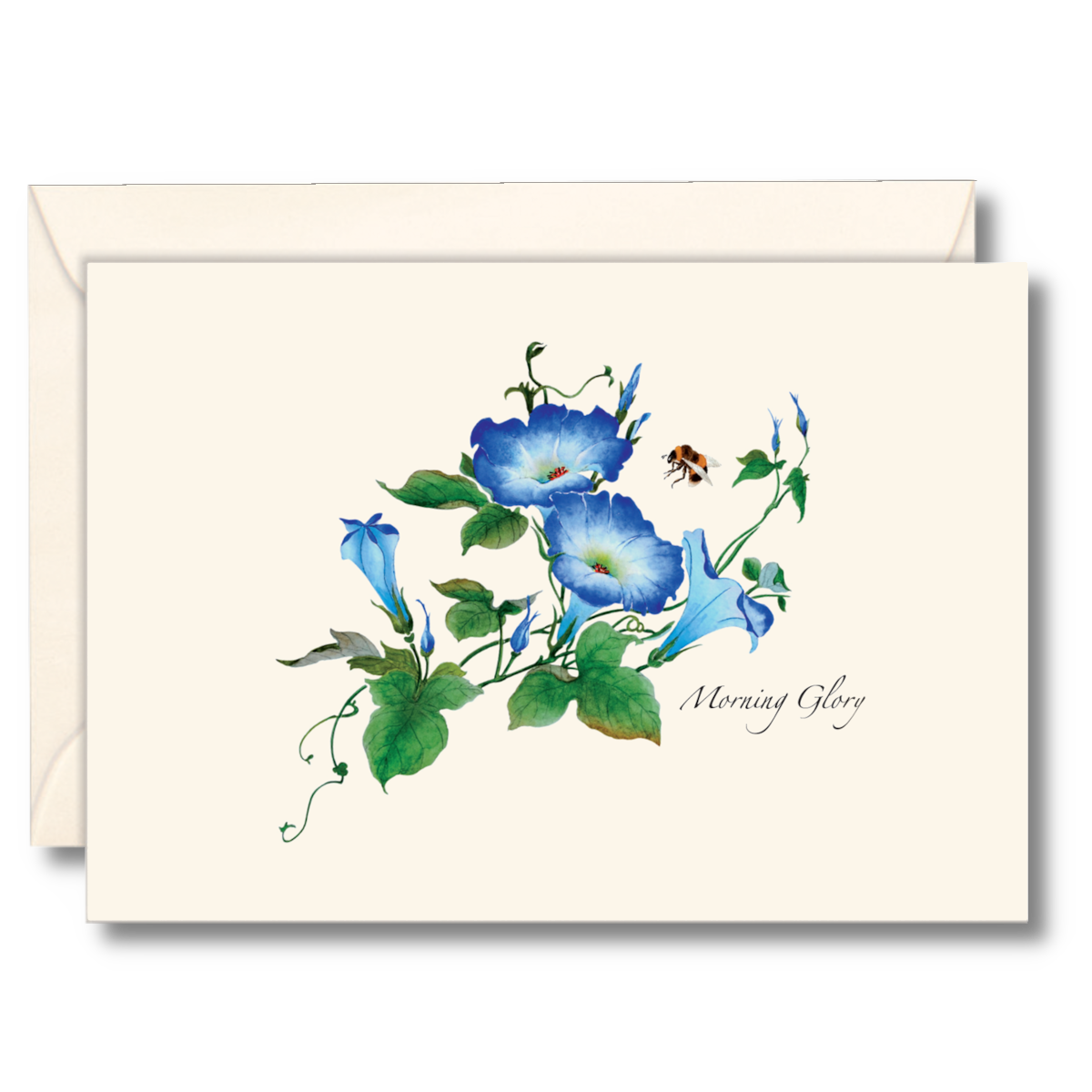 Floral & Botanical Boxed Note Cards - Select Style
