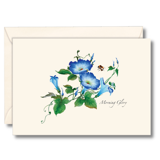 Floral & Botanical Boxed Note Cards - Select Style