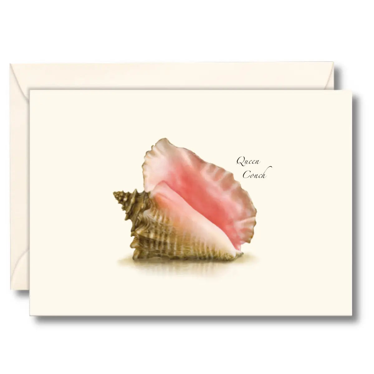 Seashell Boxed Note Cards