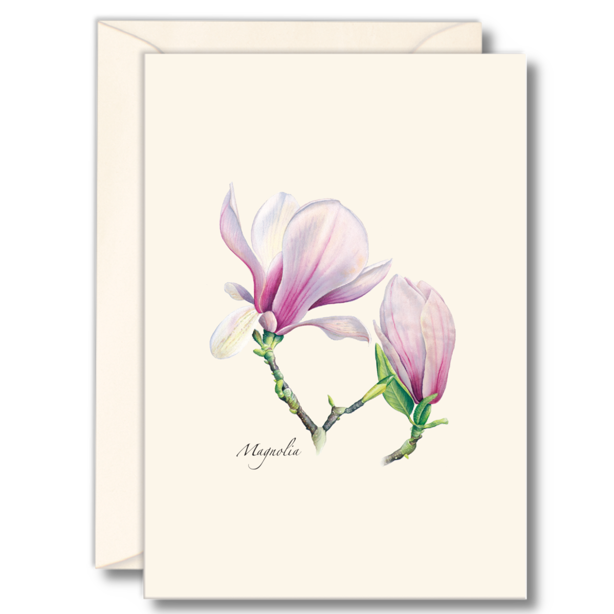 Floral & Botanical Boxed Note Cards - Select Style