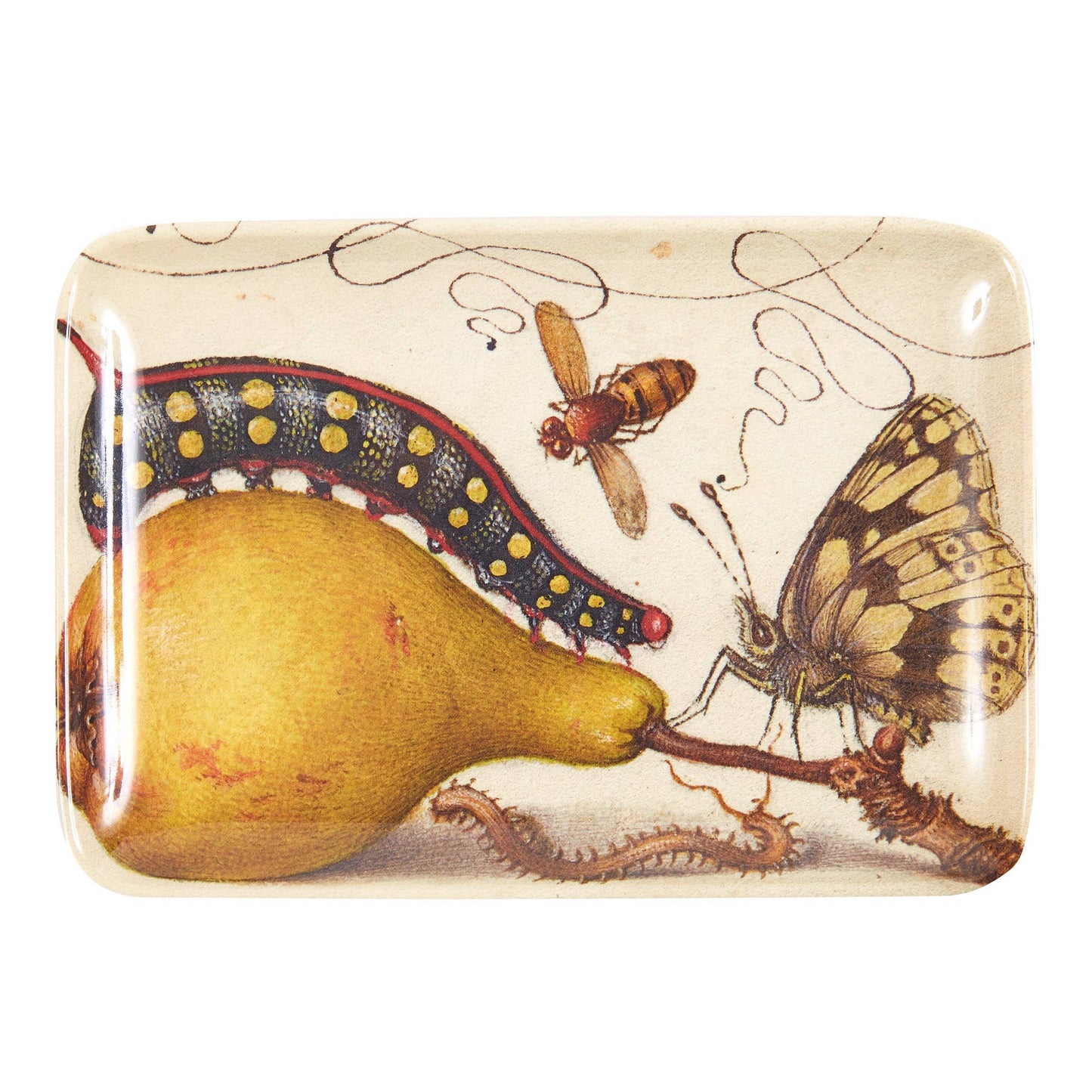 Botaniste Valet or Hors D'Oeuvre Trays