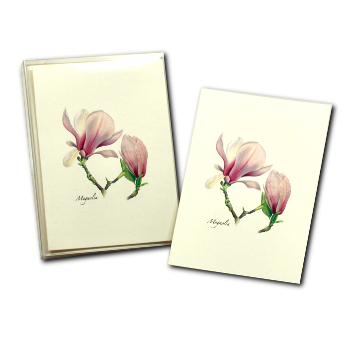 Floral & Botanical Boxed Note Cards - Select Style