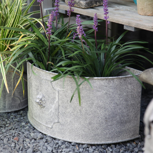 Aged Metal Half Round Lion Flower Pot