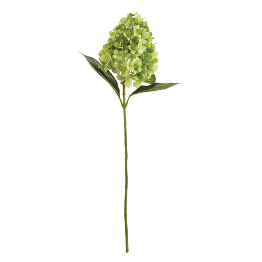 Cone Hydrangea Stems