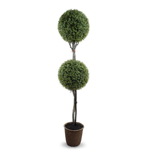 Boxwood Double Ball Topiary