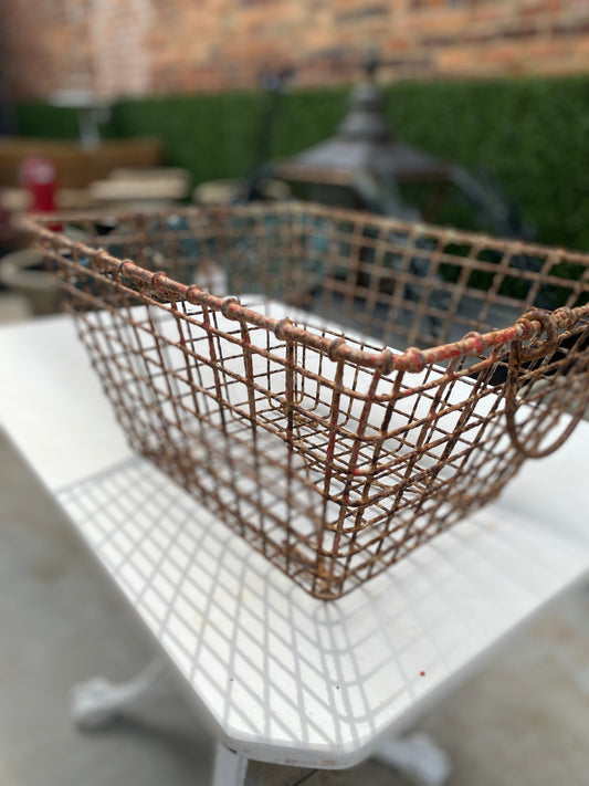 Oyster Gathering Basket