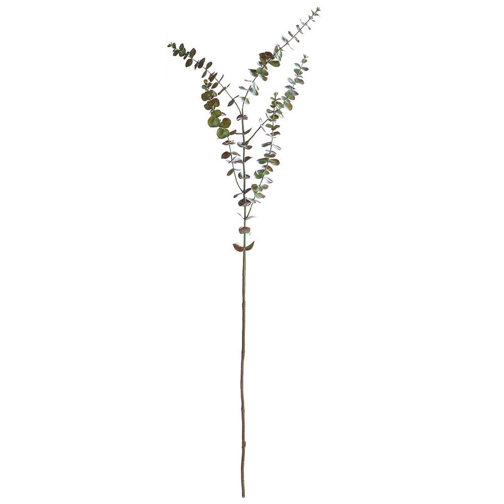 Eucalyptus Branch - 44"