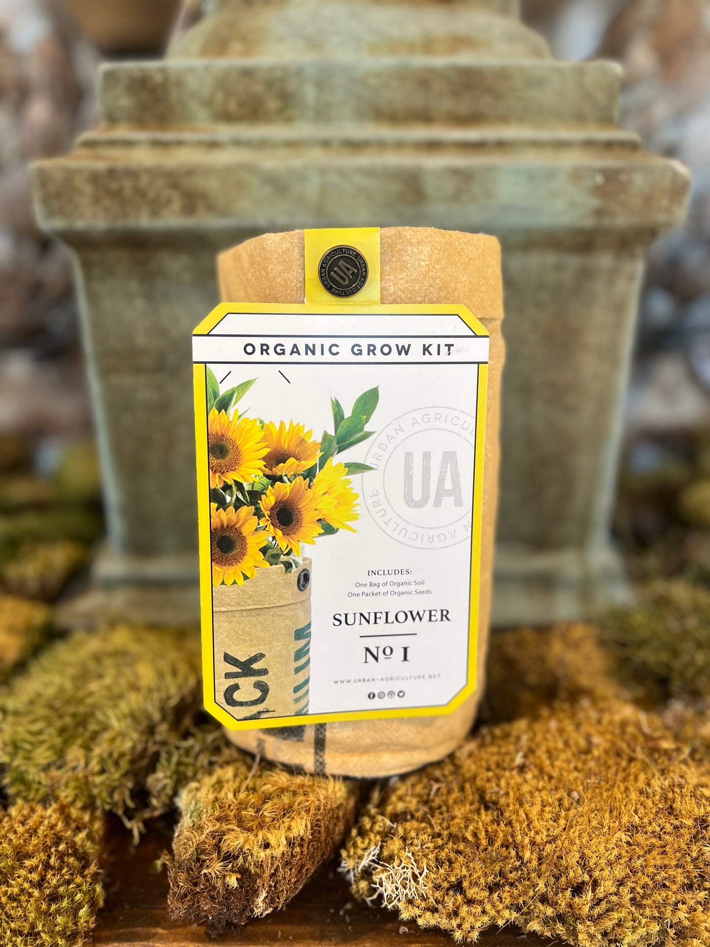 Herb/Flower Grow Kit