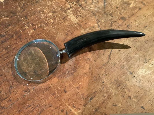 Horned Magnifier