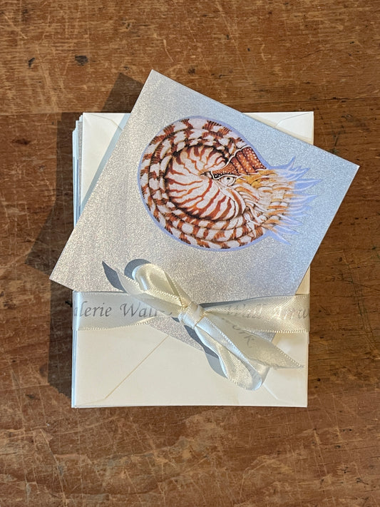 Mini Nautilus Art Card Set (20 pcs.) - Valerie Wall