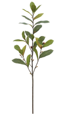 Laurel Leaf Spray - 30"
