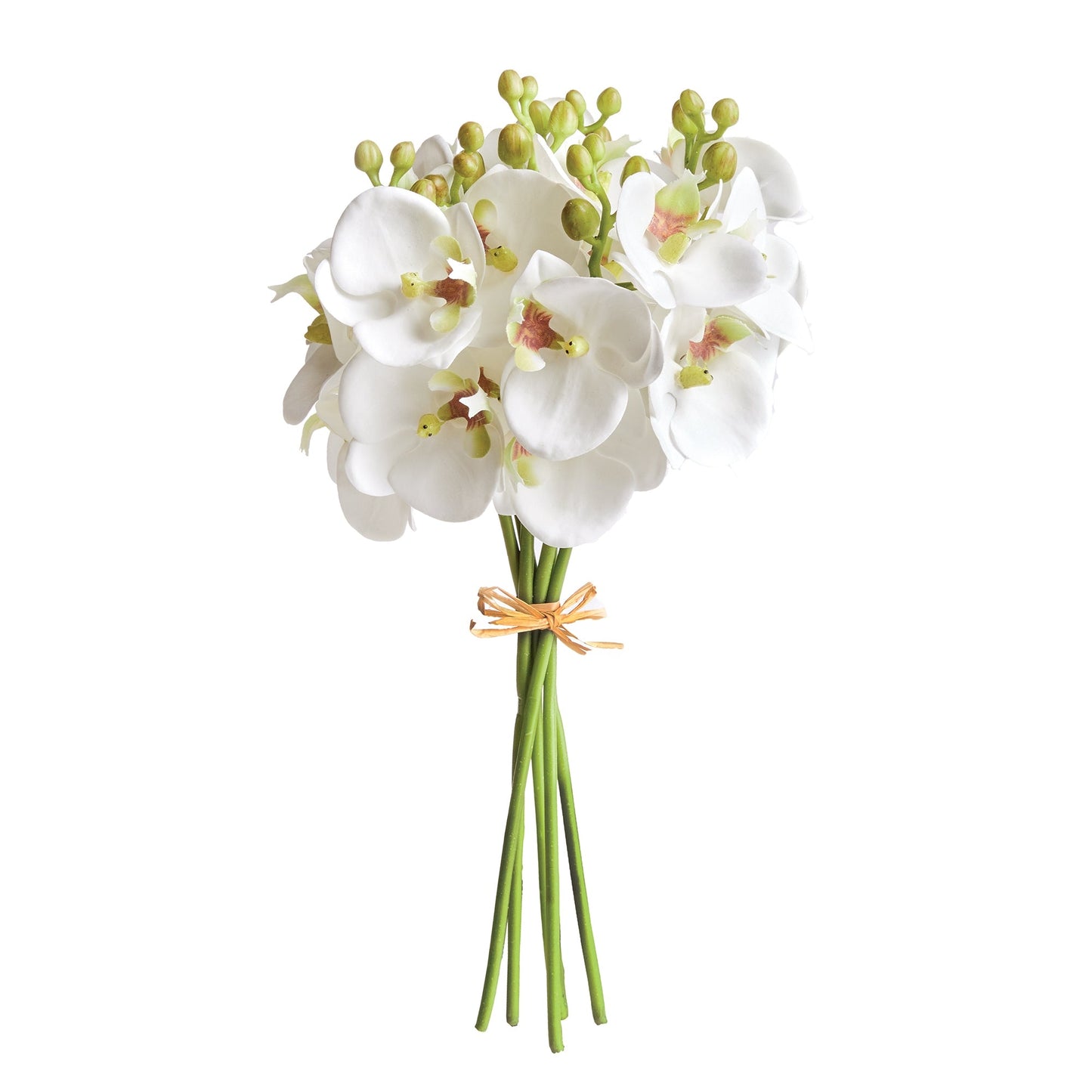 Phalaenopsis Orchid Stems - 11.5"