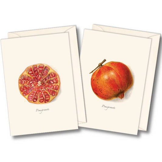 Fall Themed Boxed Note Cards - Select Style