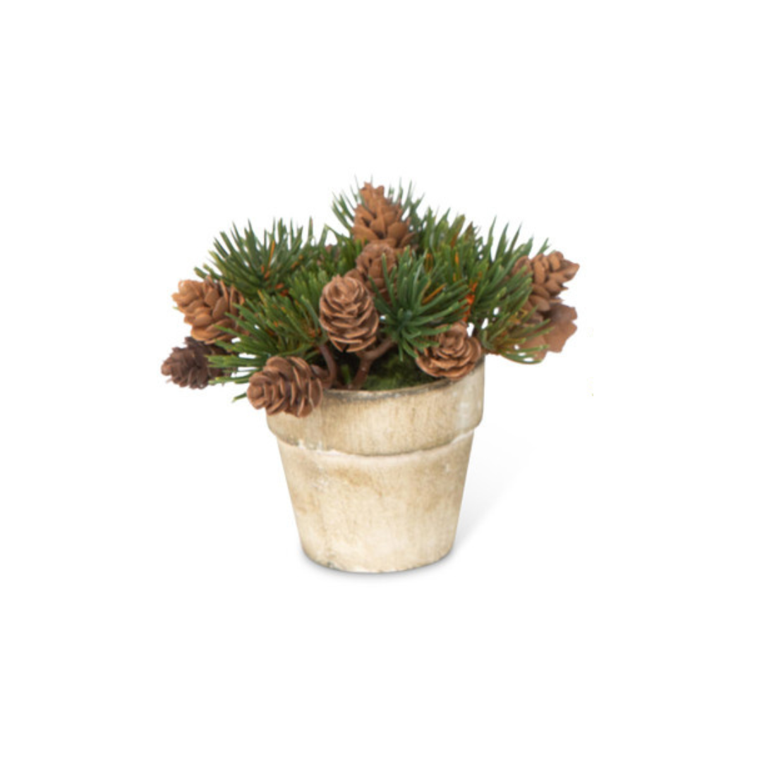Mini Winter Evergreen & Pinecone