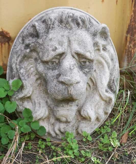 Lion Head Concrete