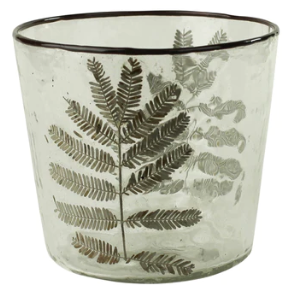 Enameled Fern Hurricane