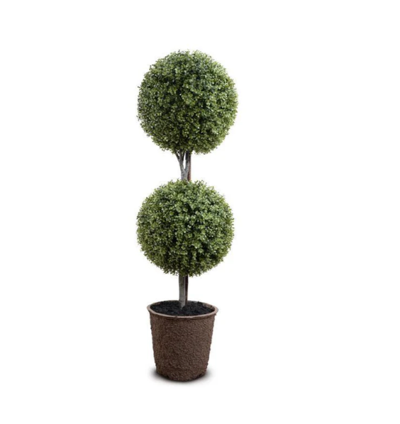 Boxwood Double Ball Topiary