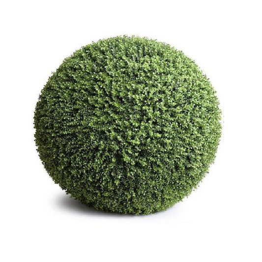Boxwood Balls