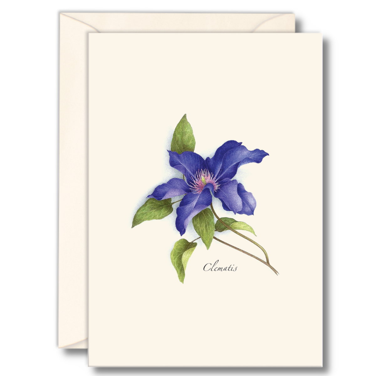 Floral & Botanical Boxed Note Cards - Select Style