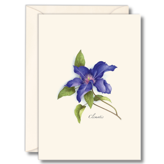 Floral & Botanical Boxed Note Cards - Select Style