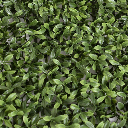 Tea Leaf Green Wall Mat (Roll), 4'Wx8'H