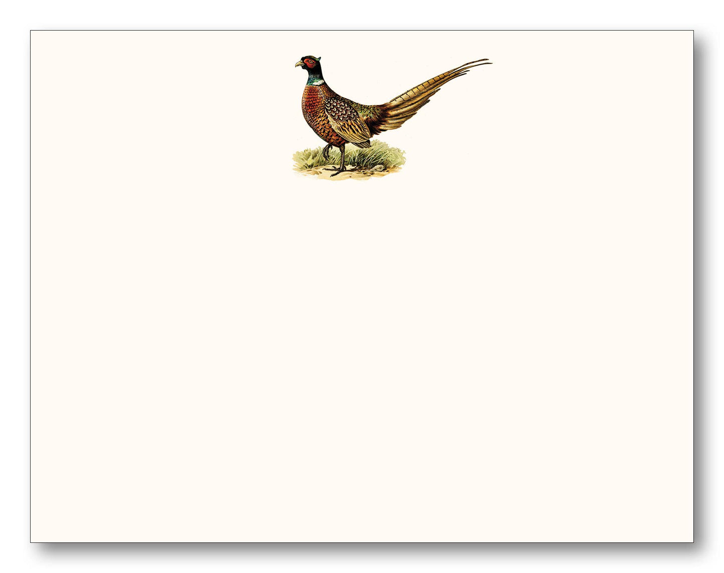 Pheasant Flat Notecards