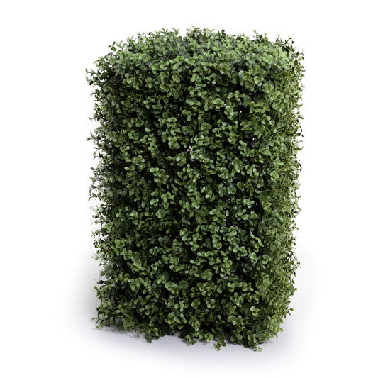 Boxwood Columns 22''