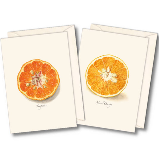 Fruit Boxed Note Cards - Select Style