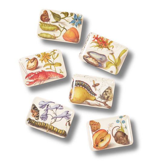Botaniste Valet or Hors D'Oeuvre Trays