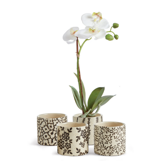 Fiona Small Pots