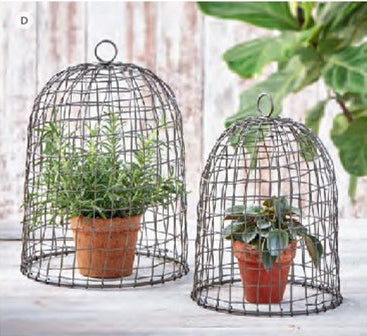 Metal Garden Cloche