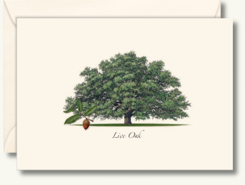 Greenery Boxed Note Cards - Select Style