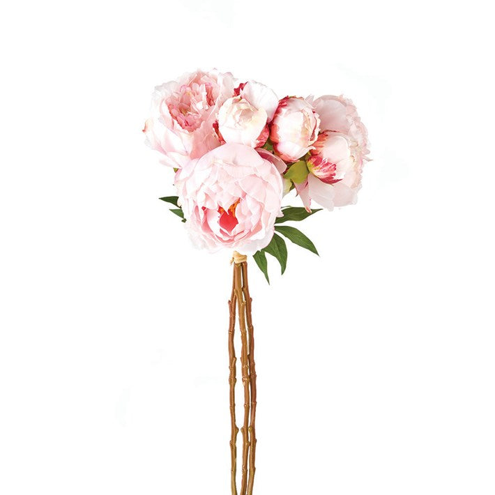 Peony Bundle