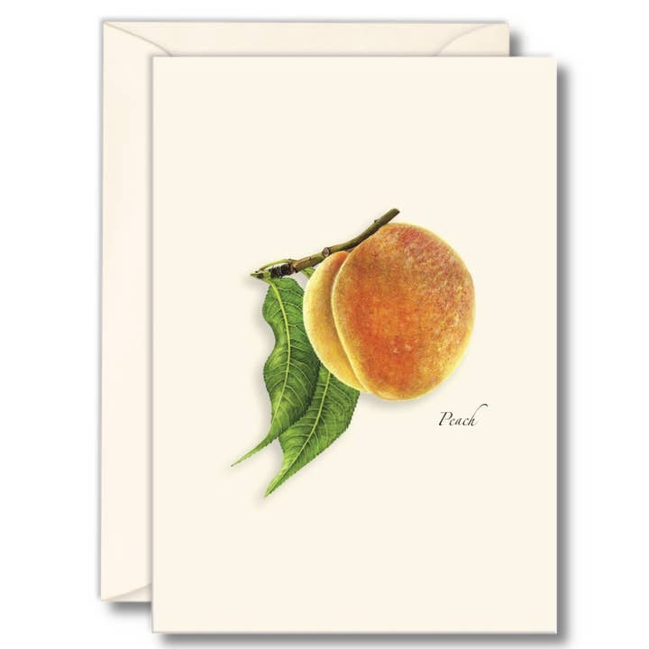 Fruit Boxed Note Cards - Select Style