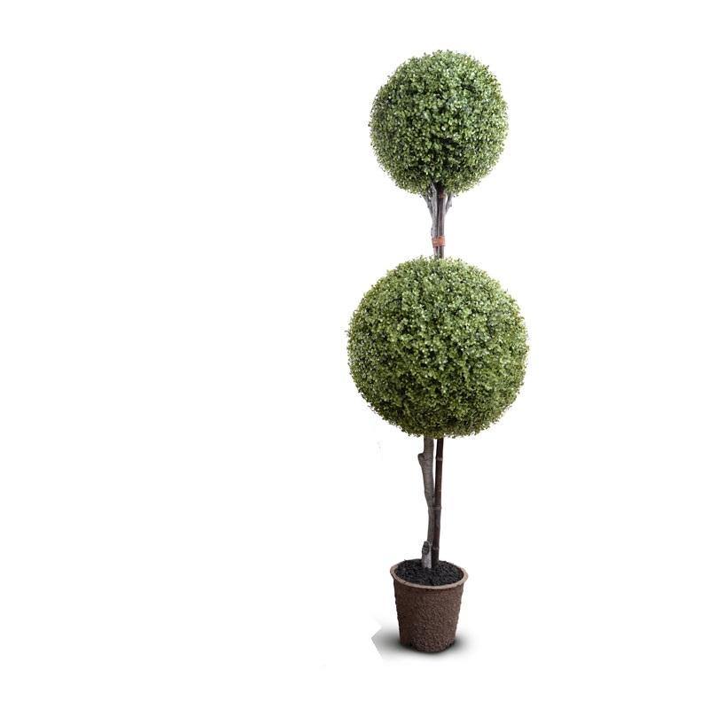 Graduated Double Boxwood Ball Topiary, 72"