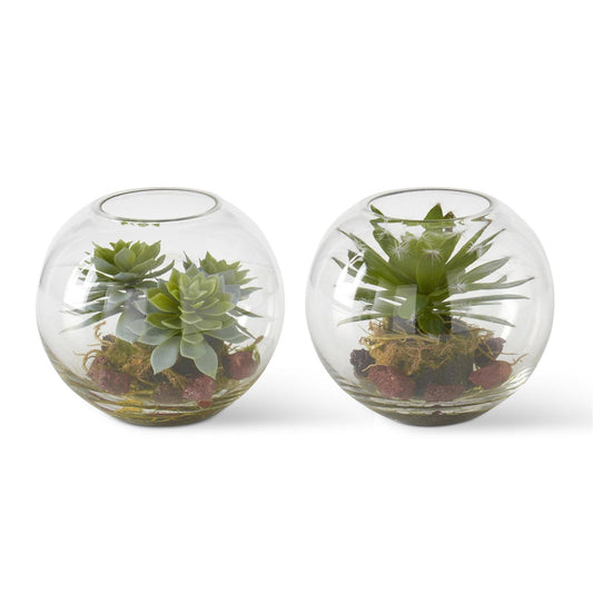 Round Glass Succulent Terrarium, Asst Style, 5"