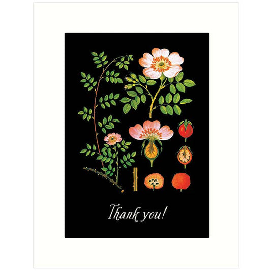 Rose | Thank You Card