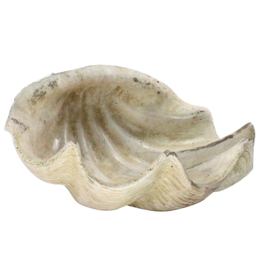 Cement Cast Clam Shell