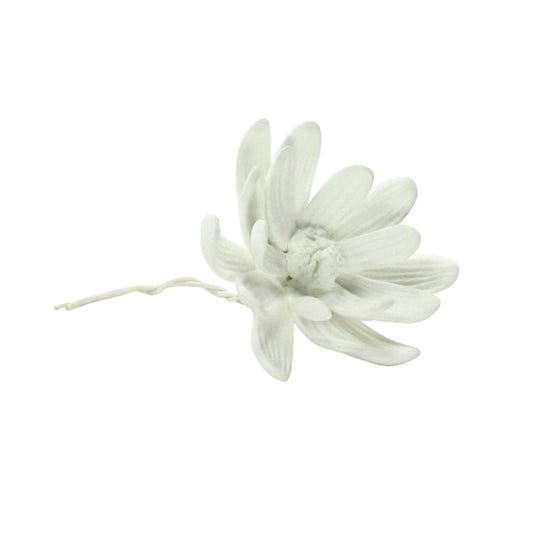 Bone China Curled Magnolia Flower