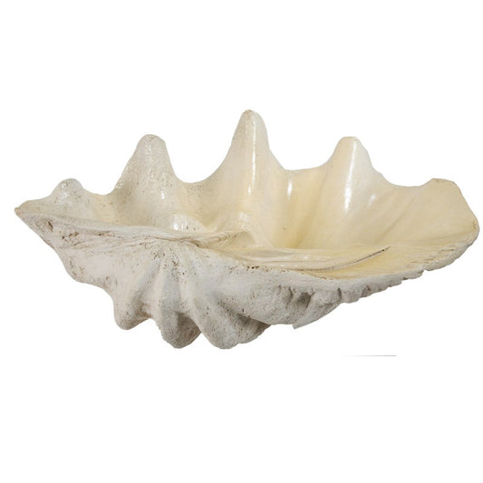 Large Clam Shell Accent