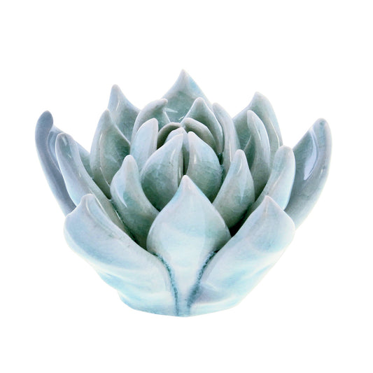 Ceramic Succulent - Small