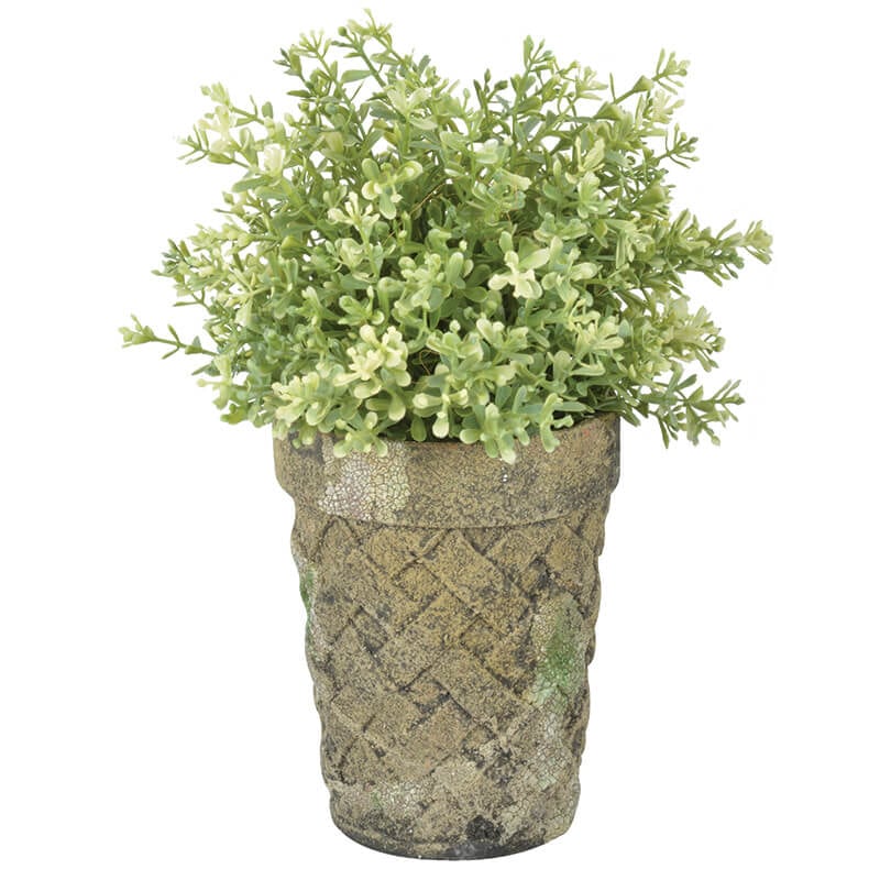 Aged Ceramic Long Tom Moss, Green