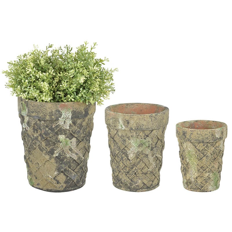 Aged Ceramic Flower Pot Moss