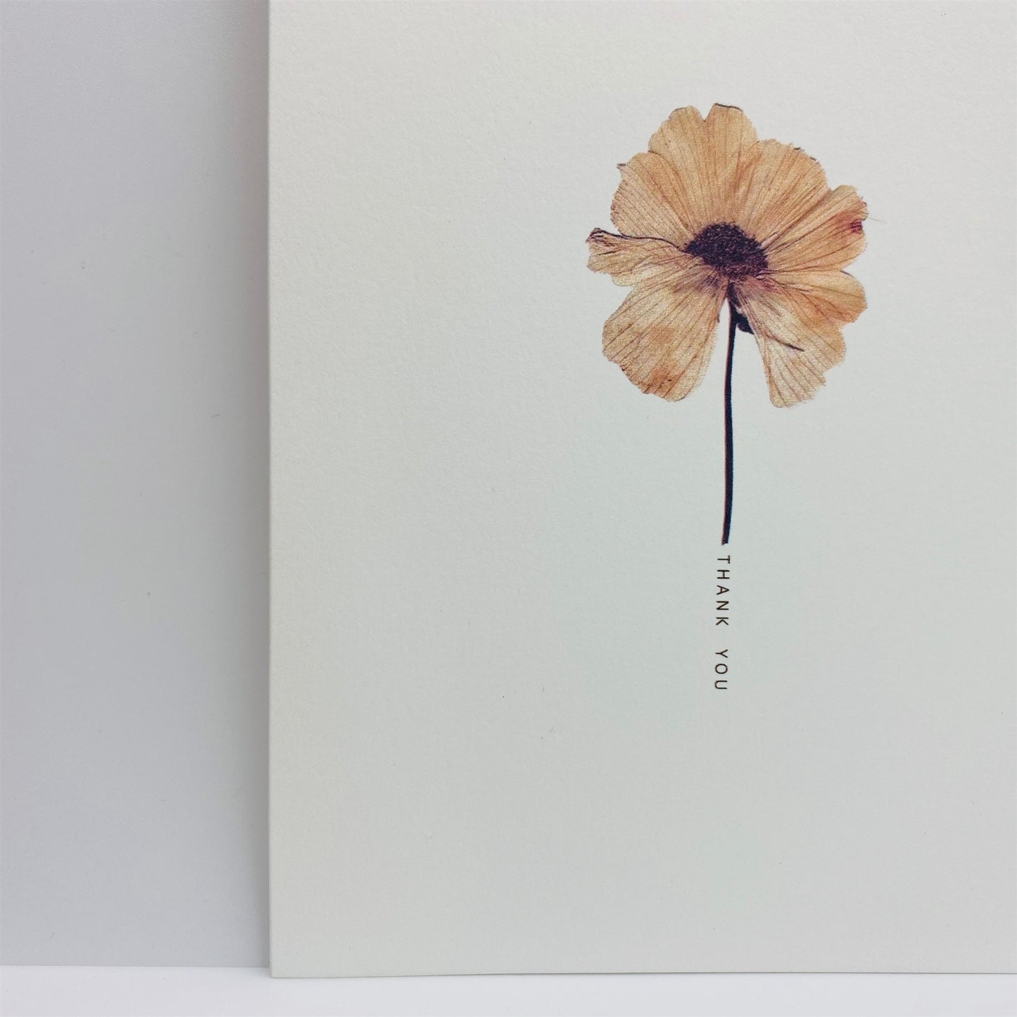Pressed Flower Greeting Cards